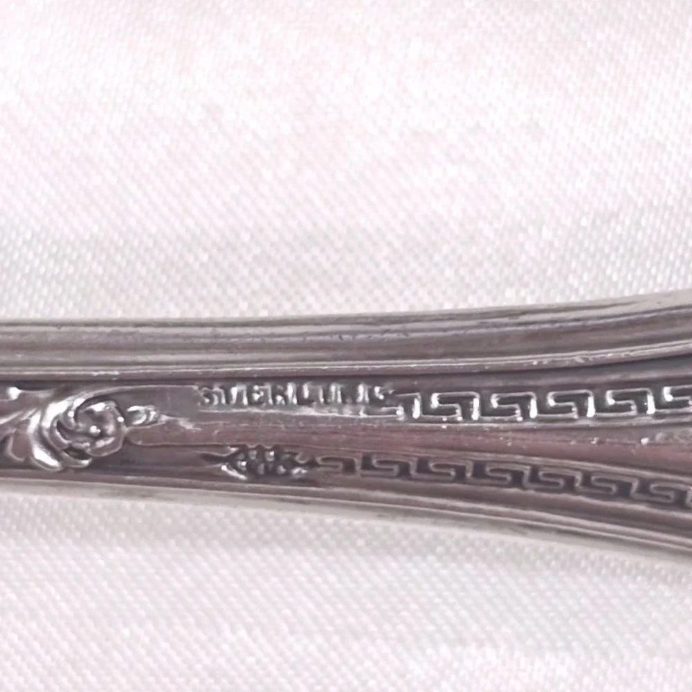VTG Webster Co WSC53 Sterling Handle Cheese Server Stainless Steel Blade 6.25